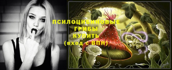 крисы Нягань